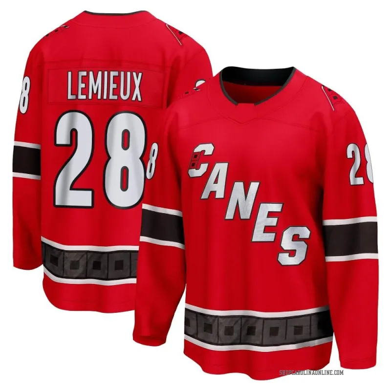 Brendan hot sale lemieux jersey